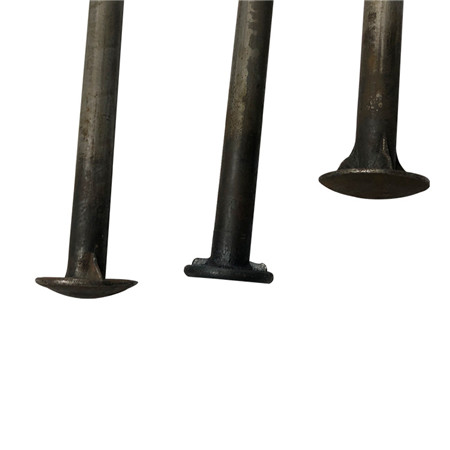 DIN603 Rostfritt stål 316 A4-70 Metrisk svamp Rundhuvud Fyrkantig halsbult M5 M6 M8 M10 M12 M16 M20
